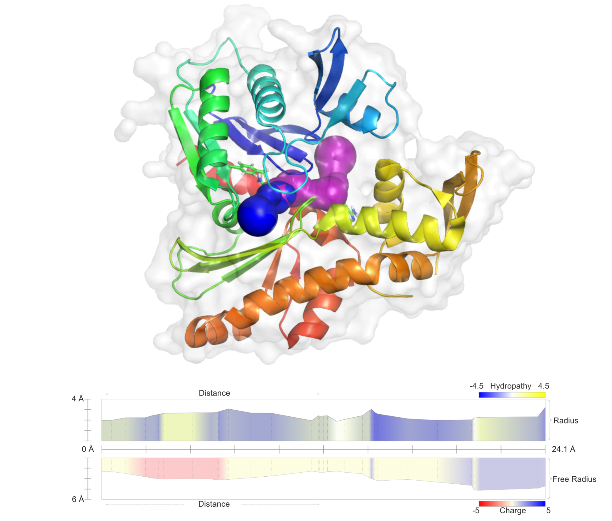 Channels of haloalkane dehalogenase (PDB ID: 4CZH)